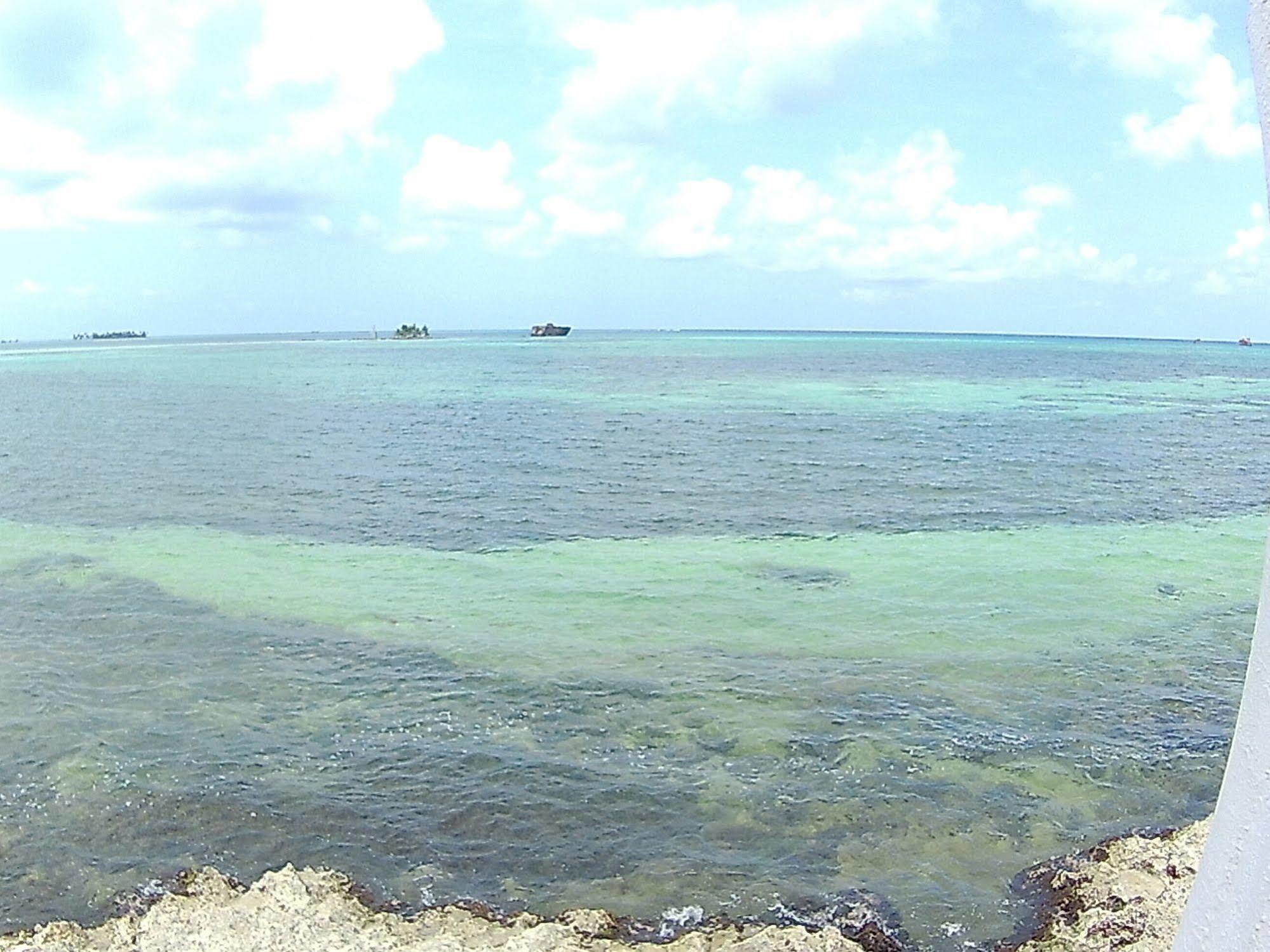Apartamentos Rocky Cay Bay San Andrés Eksteriør billede